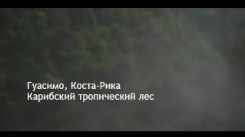 [PS] Syphon Filter [SCES-01913] [ViT Company] [Full RUS] + [ViT Company] [RUS] (2 CD) — скриншот 2