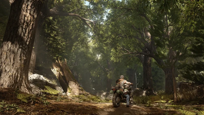 [PS4] Days Gone [EUR/RUS] [1.61+DLC+Бэкпорт 5.05] — скриншот 2