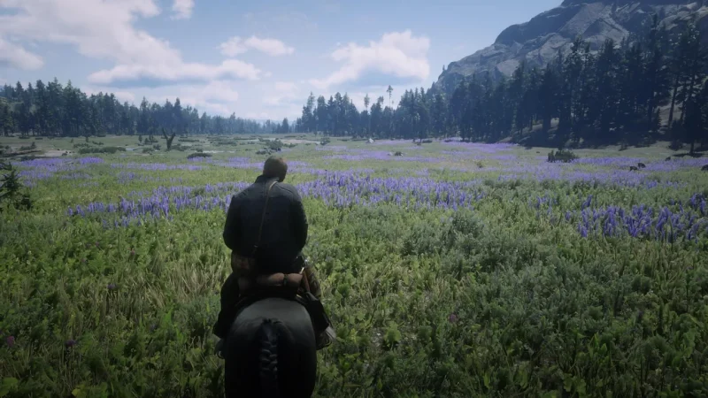 [PS4] Red Dead Redemption 2 [EUR] [FULL RUS] [1.32] — скриншот 5