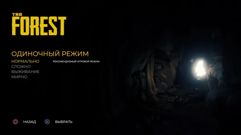[PS4] The Forest [ENG / RUS] [1.15] — скриншот 16
