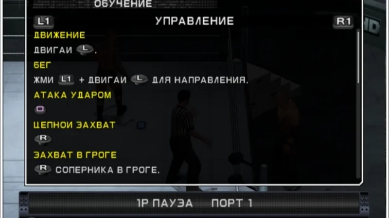 [PS2] WWE SmackDown vs. RAW 2011 [RUS|PAL] — скриншот 14